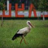 Слуцк. Общение