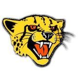 Cheetah - всё о B2B лидогенерации, AI и Sales-tech