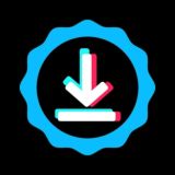 Скачать из ТикТока, Инстаграма