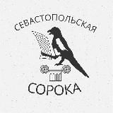 Севастопольская сорока