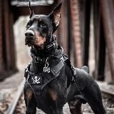 Музыка в Машину 2023