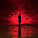 МЫ ТУТ @plodcpa