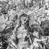 Laurens Eichhoernchen | Бельчонок Лауры