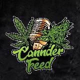 Cannder Feed