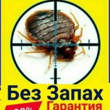 Дезинфексия чирчик