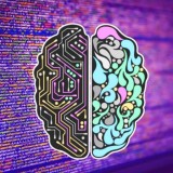 Software