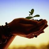 Wildzen Лента: развитие, практики, ЗОЖ