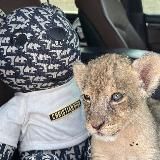 ⅅℐᎯℳᎾℛ.Ꭿℳ🤍