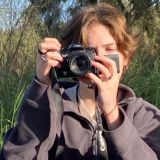 сливочное авокадо `