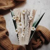 𝗕𝗼𝗼𝗸 𝗖𝗮𝗳𝗲 | Электронные книги