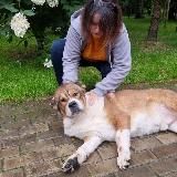 ПОДНИМЕМ ХАНА