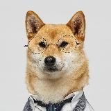 Собаковый (Dogs are here)
