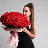 Подружка Крис 🕊️