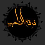 الفرقة الناجية📓