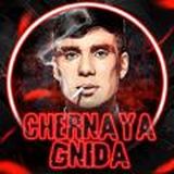 Service by Chernaya Gnida Chat