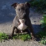 TIMMI CAPPER🔥СПОРТ ПРОГНОЗИ🔥