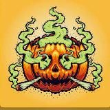 Grassland Farms📦🔥