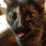 фан клуб большой пепсы