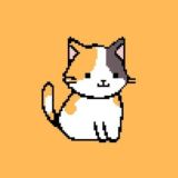 NFT CAT Chat