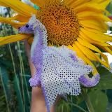 𝓪𝓷 𝓪𝓷𝓰𝓮𝓵 𝓷𝓮𝓿𝓮𝓻 𝓼𝓵𝓮𝓮𝓹𝓼