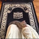 𝓛𝓾𝓷𝓽𝓲𝓴🌙