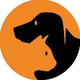 Журнал «Питомцы»