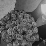 𝒓𝒂𝒅𝒊𝒔𝒆’