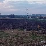 Оборотни посадки