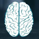 Сломай Мозг