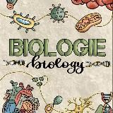 Хим/Био/Рус ЕГЭ❤️🔥