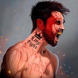 👑KingFight👑