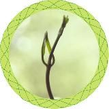 Держите спину с Аллой Рогозной