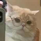 🍡 К𐐼н𐐼ꪒьчꭎƙ ꭷδꭷ ϐ𝚌ёო 🍡