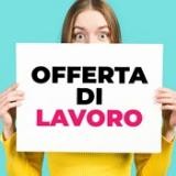 Offerte di Lavoro