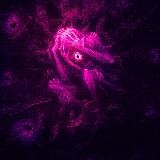 Берегу Патрон