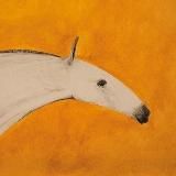 Ветер в гривах 🐴