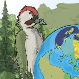 Вольф Кицес