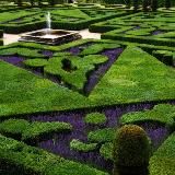 Сад и огород