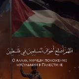 Имам Джамиль