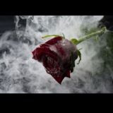 КРАСИВЫЕ КАРТИНКИ,ОБОИ,ФОТО