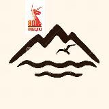 Чайка V теме