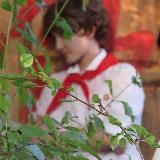 Таира Август | Культурное пристанище токсичности