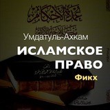 Умдат уль-Ахкам ©