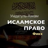 Умдат уль-Ахкам ©