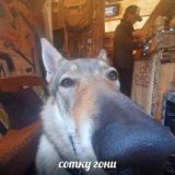 Жизнь Студентов