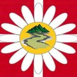 Детский сад «Жёлтый ручеёк» чат