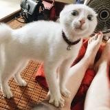 Анекдоты и Приколы