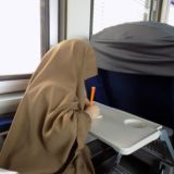 виноградная лоза