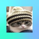 EgAr4ik fans // Мод ТикТока на Андроид