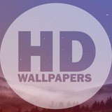 PYP WALLPAPERS